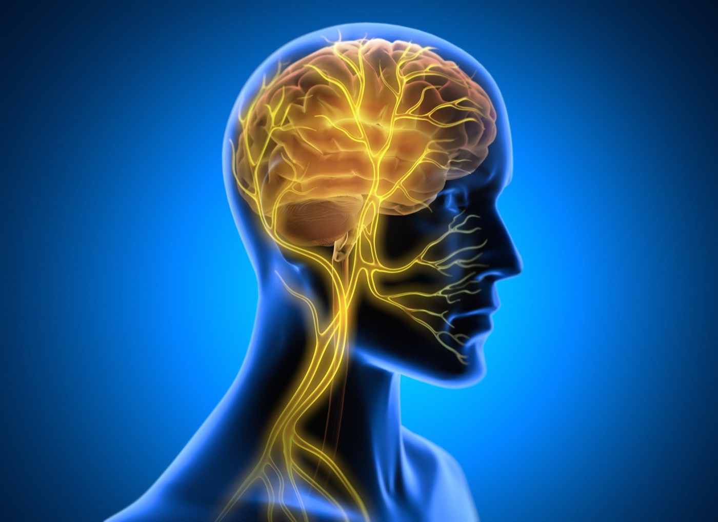 Wie reguliere ich mein Nervensystem bei Stress?